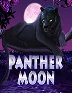 หลุดโลกกับ bet911 โค้ด ฟรี เล่นสนุกสุดปัง!