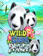 สูตรเล่น casino online playtech ทำเงินได้ชัวร์