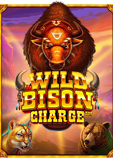 สมัคร สล็อต แคน ดี้ เล่นง่ายๆ แบบมือโปร ต้องลอง!